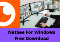 NetSee For Windows