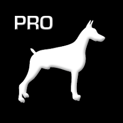 TouchDog Viewer Pro logo 7 Smart PSS Alternative