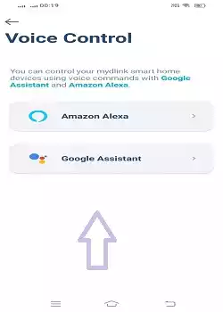 set te Amazon Alexa and Google Assistant options