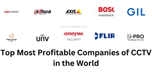 Top Most Profitable Companies of CCTV