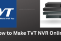 How to Make TVT NVR Online & Do Remote Monitoring