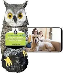 Night Owl Vs Eufy- Comparision Two Best CCTV Security Brand 3 Eufy camera image quality