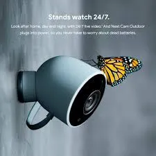Nest vs Arlo