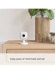 Blink cameras are intelligent