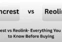 Amcrest vs Reolink Everything You Need to Know Before Buying