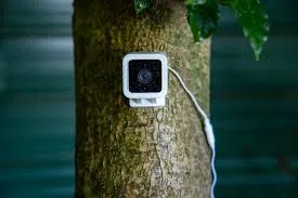Wyze cameras can be easily installed